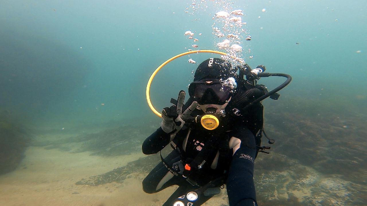 청진 다이브11 - 시크릿가든