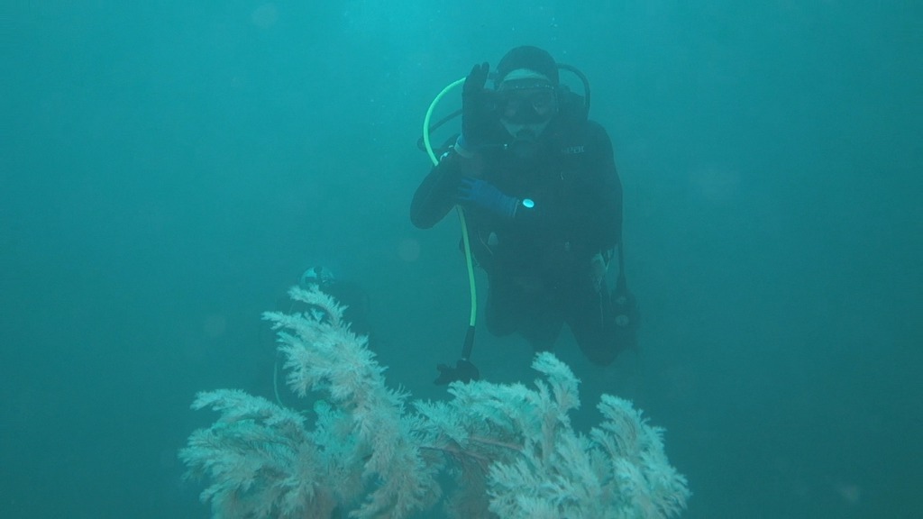 제주도 문섬 - 작은 한개창