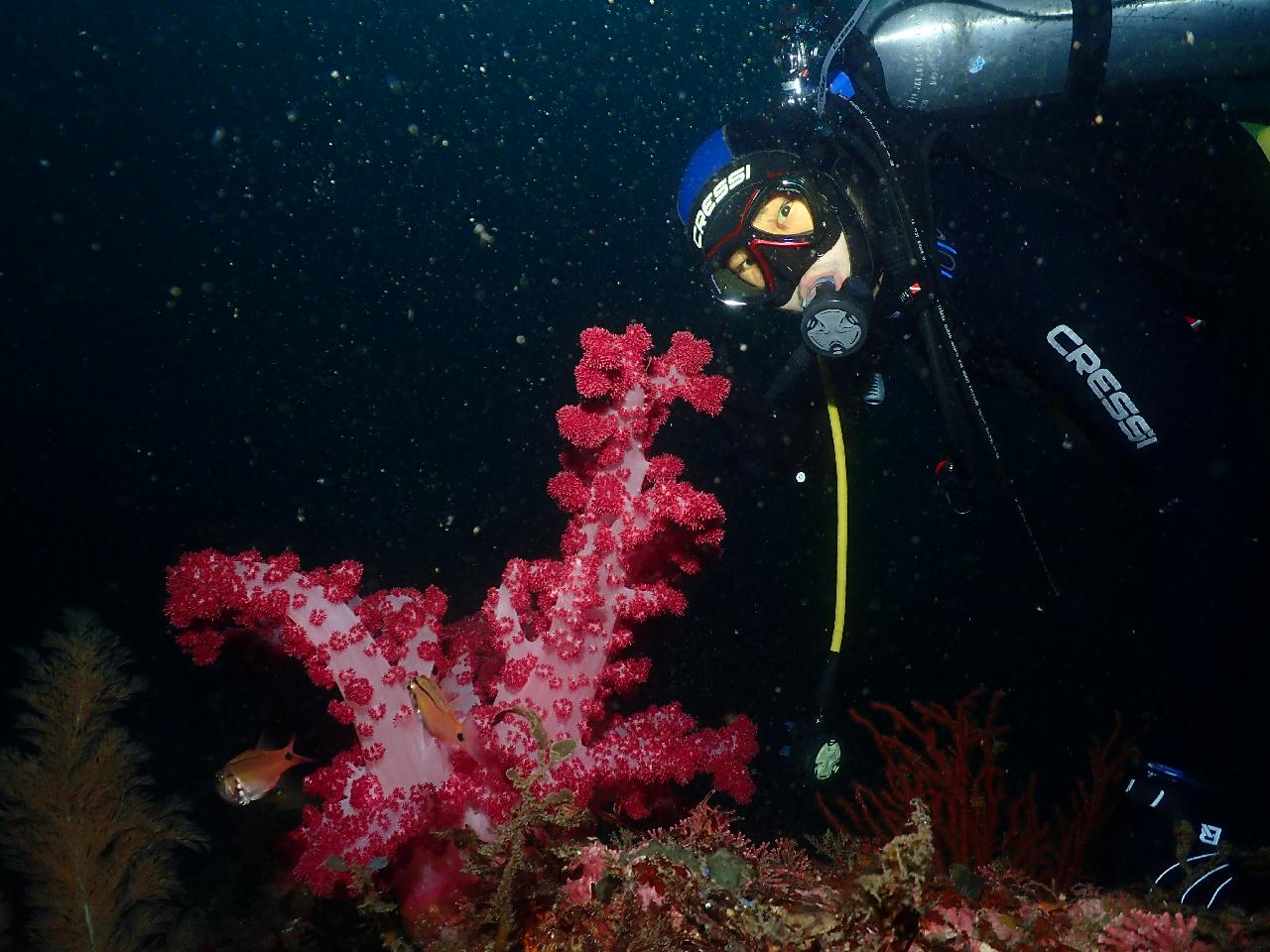 진짜 CESA를 해보다 ㅎㅎㅎ