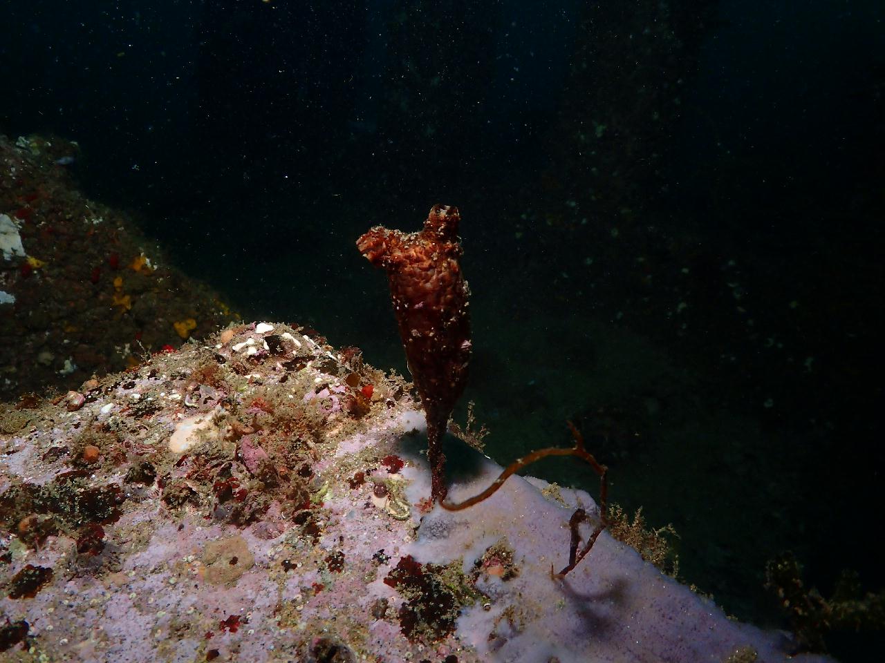 어드밴스 교육 1회