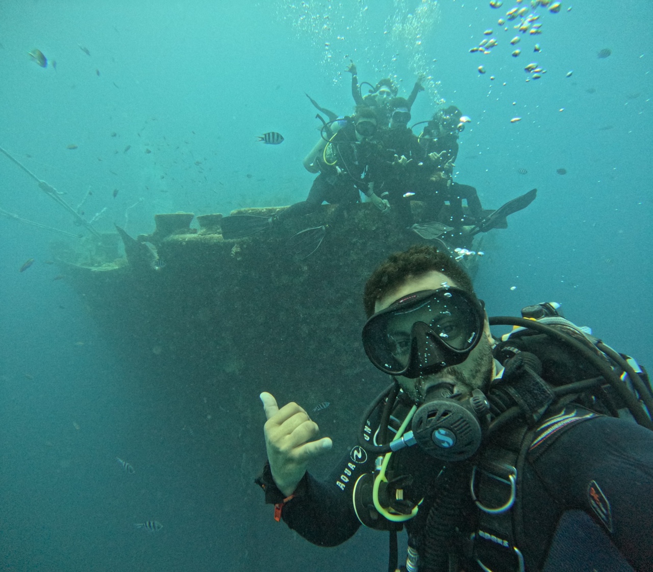 시슬곰은 시슬곰이었다