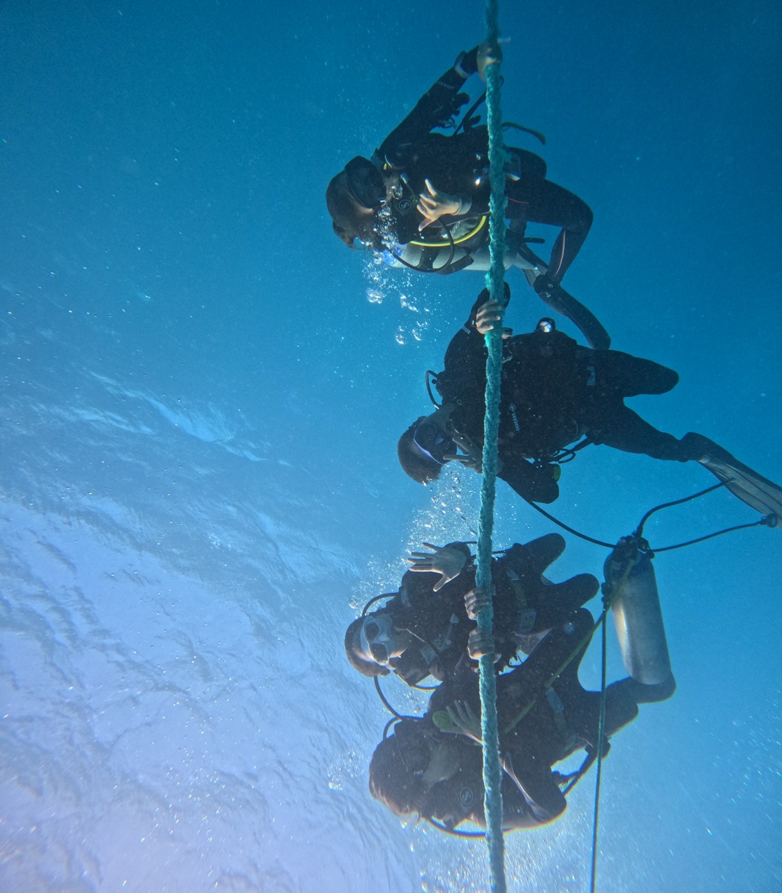 시슬곰은 시슬곰이었다