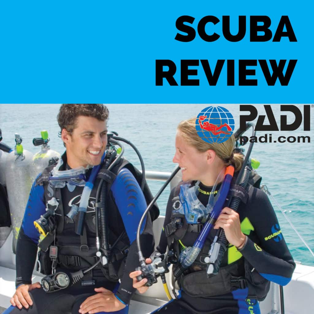 Jeju Scuba Diving Review