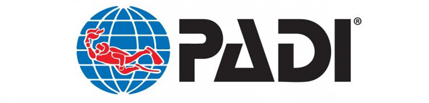 Jeju Scuba Diving Review