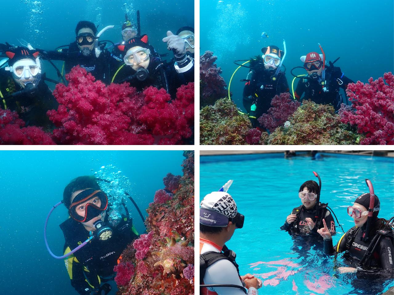 Scuba Diving in Jeju Island